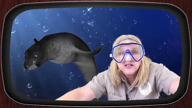 Interactive Zoo Crew Alphabet Show Preview