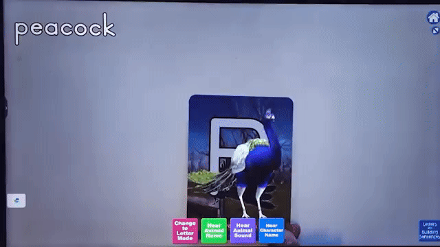 Thumbnail image for Alive Studios Peacock Video