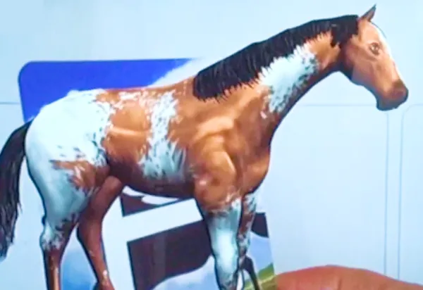 Thumbnail image for Alive Studios Horse Video