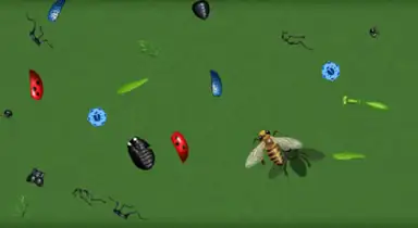 Screenshot of the Insect Creator app
