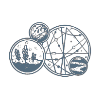 Sensory Seeker Icon