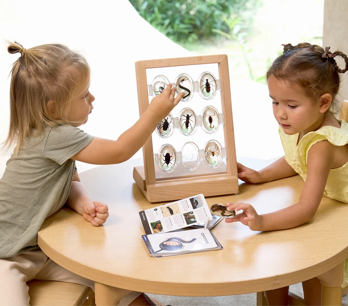 Classroom Products and Essentials