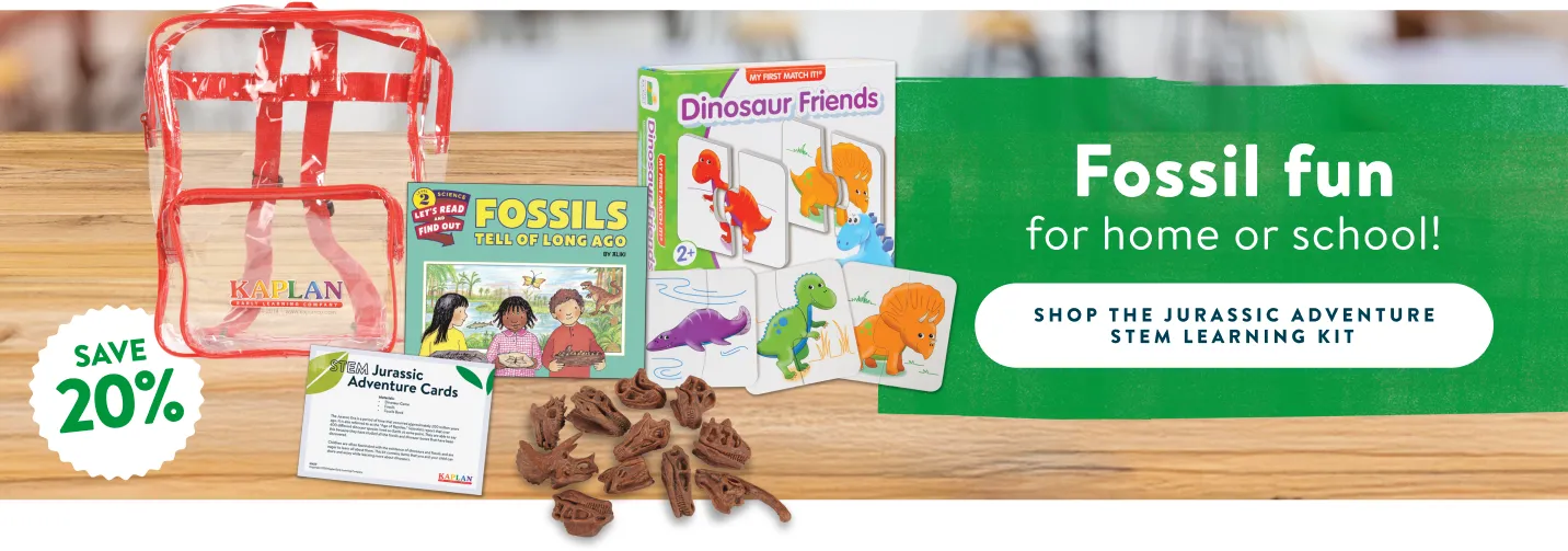 Fossil fun for home or school!