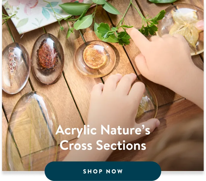 Acrylic Nature's Cross Sections